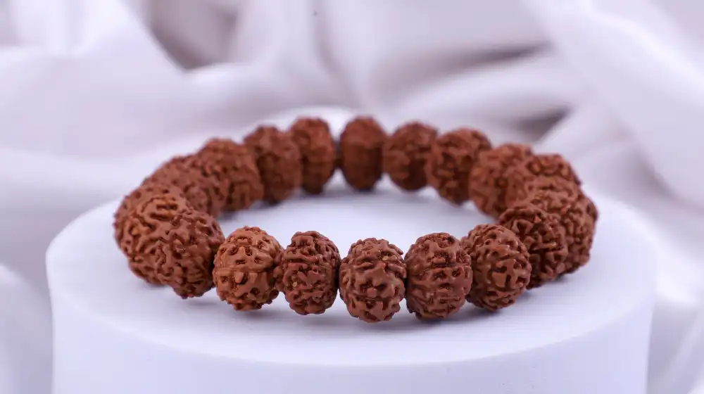 7 Mukhi Rudraksha Bracelet | Protection